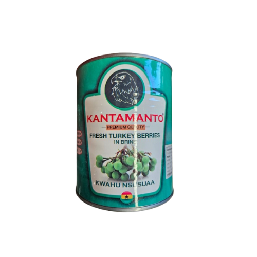 Kantamanto Fresh Turkey Berries 800g - africanfoodhairbeauty